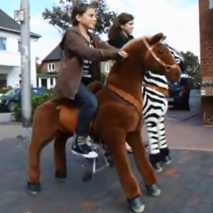 Cheval Articulé adulte ou enfant