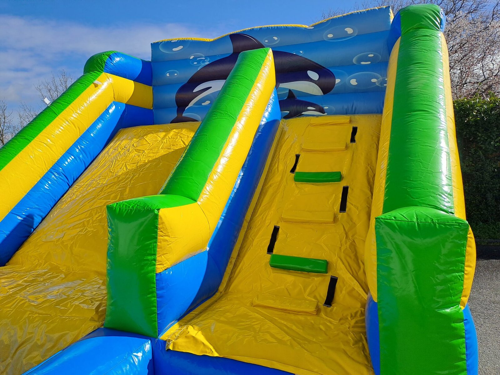 Toboggan aquatique dauphin à louer chez Elite Animation Toulouse